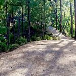 Shilli Wildlife Sanctuary Tourism in Solan, Himachal Pradesh