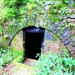 Grave of Barog Tourism in Barog, Himachal Pradesh