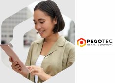 https://pegotec.net/